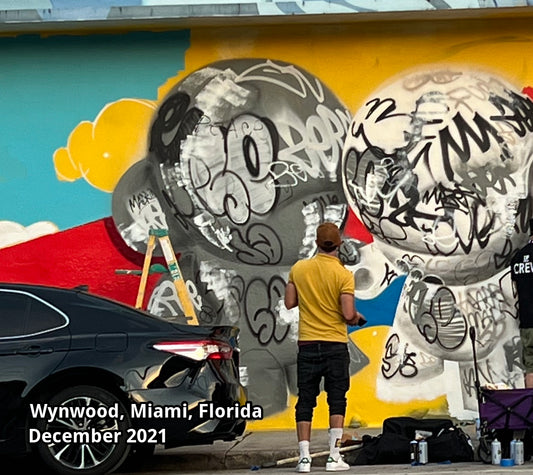 Exploring-the-Vibrant-World-of-Street-Art-A-Guide-for-Art-Lovers| Shop name